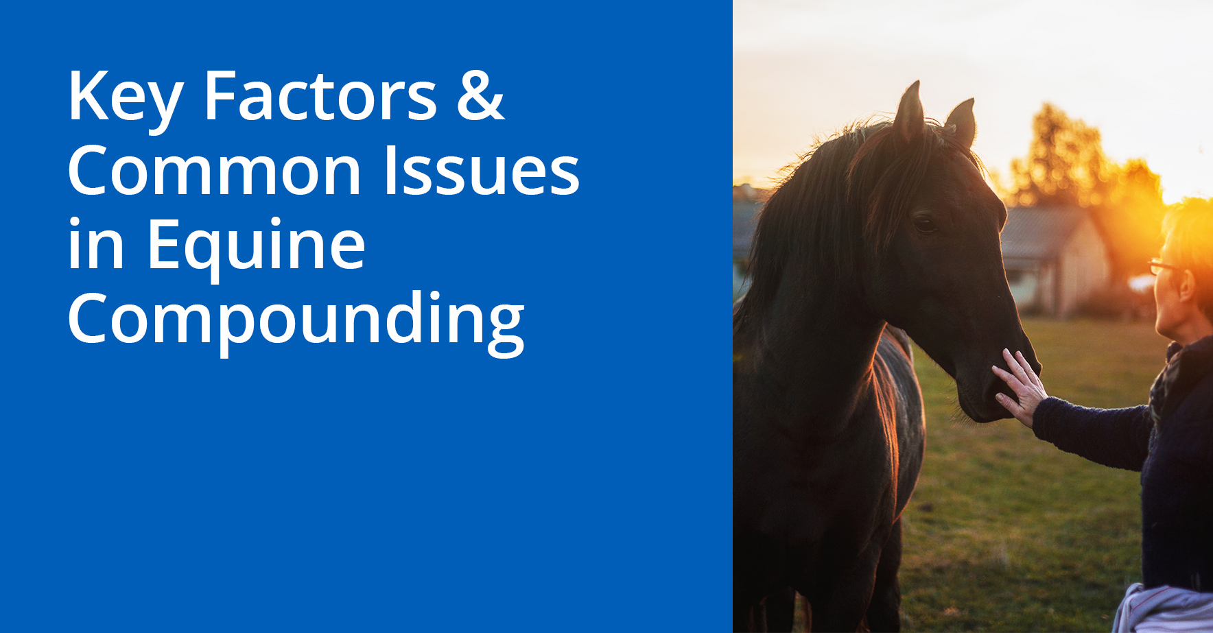 Key_Factors_and_Common_Issues_in_Equine_Compounding.jpg